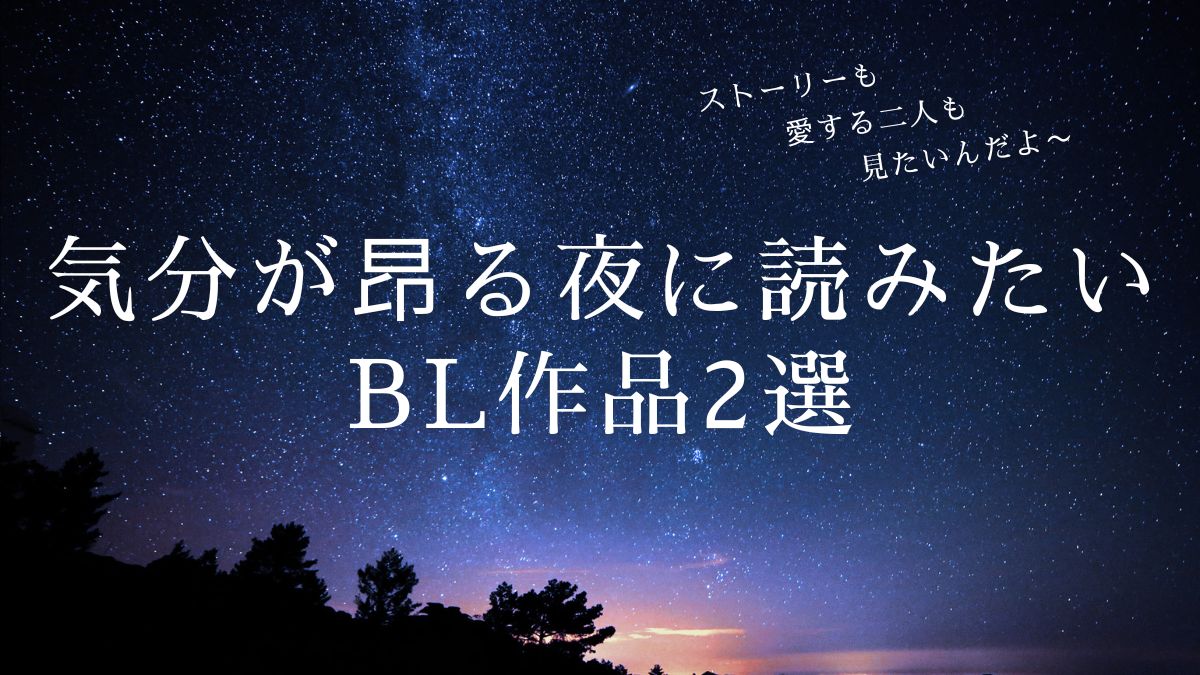 気分が高ぶる夜に読みたいBL作品2選